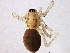  ( - BIOUG03832-B09)  @12 [ ] CreativeCommons - Attribution (2012) CBG Photography Group Centre for Biodiversity Genomics