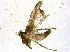  ( - BIOUG03865-B09)  @12 [ ] CreativeCommons - Attribution (2013) CBG Photography Group Centre for Biodiversity Genomics