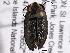  ( - BIOUG06825-D05)  @12 [ ] CreativeCommons - Attribution (2013) CBG Photography Group Centre for Biodiversity Genomics