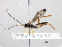  ( - BIOUG07023-D10)  @13 [ ] CreativeCommons - Attribution (2014) CBG Photography Group Centre for Biodiversity Genomics