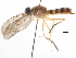  ( - BIOUG06998-F03)  @12 [ ] CreativeCommons - Attribution (2014) CBG Photography Group Centre for Biodiversity Genomics