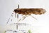  ( - 09NJAU-278)  @11 [ ] CreativeCommons - Attribution (2010) Unspecified Centre for Biodiversity Genomics