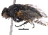  ( - BIOUG18200-B11)  @14 [ ] CreativeCommons - Attribution (2015) CBG Photography Group Centre for Biodiversity Genomics