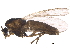  ( - BIOUG19207-C08)  @12 [ ] CreativeCommons - Attribution (2015) CBG Photography Group Centre for Biodiversity Genomics