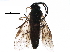  ( - BIOUG19211-A03)  @14 [ ] CreativeCommons - Attribution (2016) CBG Photography Group Centre for Biodiversity Genomics