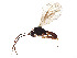  ( - BIOUG19212-G01)  @11 [ ] CreativeCommons - Attribution Share - Alike (2023) CBG Photography Group Centre for Biodiversity Genomics