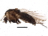  ( - BIOUG18574-B11)  @14 [ ] CreativeCommons - Attribution (2015) CBG Photography Group Centre for Biodiversity Genomics