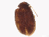  ( - BIOUG20969-F01)  @11 [ ] CreativeCommons - Attribution Share-Alike (2024) CBG Photography Group Centre for Biodiversity Genomics