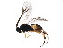  ( - BIOUG21791-A07)  @13 [ ] CreativeCommons - Attribution (2015) CBG Photography Group Centre for Biodiversity Genomics