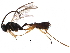  ( - BIOUG21210-G03)  @15 [ ] CreativeCommons - Attribution (2016) CBG Photography Group Centre for Biodiversity Genomics