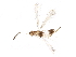 ( - BIOUG21220-C10)  @15 [ ] CreativeCommons - Attribution (2015) CBG Photography Group Centre for Biodiversity Genomics