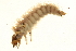  ( - 02CNTLV-178)  @12 [ ] CreativeCommons - Attribution (2009) Unspecified Centre for Biodiversity Genomics