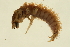  ( - 02CNTLV-185)  @12 [ ] CreativeCommons - Attribution (2009) Unspecified Centre for Biodiversity Genomics