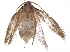  ( - BIOUG12788-C12)  @13 [ ] CreativeCommons - Attribution (2015) CBG Photography Group Centre for Biodiversity Genomics