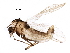  ( - BIOUG16881-E07)  @14 [ ] CreativeCommons - Attribution (2016) CBG Photography Group Centre for Biodiversity Genomics