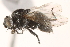  ( - BIOUG16935-H08)  @14 [ ] CreativeCommons - Attribution (2015) CBG Photography Group Centre for Biodiversity Genomics