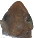  ( - D-71)  @11 [ ] Copyright (2010) Unspecified Northwest Agriculture and Forest University