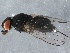  ( - BIOUG17239-E12)  @13 [ ] CreativeCommons - Attribution (2015) CBG Photography Group Centre for Biodiversity Genomics