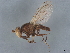  ( - BIOUG18020-C05)  @11 [ ] CreativeCommons - Attribution (2022) CBG Photography Group Centre for Biodiversity Genomics