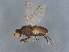  ( - BIOUG18020-E01)  @11 [ ] CreativeCommons - Attribution (2022) CBG Photography Group Centre for Biodiversity Genomics