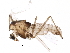  ( - BIOUG18279-H01)  @13 [ ] CreativeCommons - Attribution (2015) CBG Photography Group Centre for Biodiversity Genomics