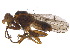  ( - BIOUG18424-E05)  @14 [ ] CreativeCommons - Attribution (2015) CBG Photography Group Centre for Biodiversity Genomics