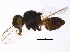  ( - BIOUG04652-A05)  @13 [ ] CreativeCommons - Attribution (2014) CBG Photography Group Centre for Biodiversity Genomics