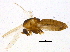  ( - BIOUG04652-C06)  @12 [ ] CreativeCommons - Attribution (2014) CBG Photography Group Centre for Biodiversity Genomics