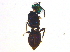  ( - BIOUG04654-A08)  @12 [ ] CreativeCommons - Attribution (2014) CBG Photography Group Centre for Biodiversity Genomics
