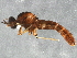  ( - BIOUG05836-G06)  @13 [ ] CreativeCommons - Attribution (2014) CBG Photography Group Centre for Biodiversity Genomics