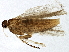  ( - BIOUG05849-A05)  @12 [ ] CreativeCommons - Attribution (2013) CBG Photography Group Centre for Biodiversity Genomics