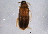  ( - BIOUG05881-A03)  @13 [ ] CreativeCommons - Attribution (2014) CBG Photography Group Centre for Biodiversity Genomics