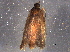  ( - BIOUG05849-F02)  @12 [ ] CreativeCommons - Attribution (2014) CBG Photography Group Centre for Biodiversity Genomics