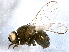  ( - BIOUG05931-D03)  @13 [ ] CreativeCommons - Attribution (2014) CBG Photography Group Centre for Biodiversity Genomics