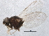  ( - BIOUG06531-B01)  @12 [ ] CreativeCommons - Attribution (2014) CBG Photography Group Centre for Biodiversity Genomics