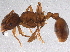  ( - BIOUG06546-C07)  @14 [ ] CreativeCommons - Attribution (2014) CBG Photography Group Centre for Biodiversity Genomics