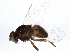  ( - BIOUG06533-H02)  @14 [ ] CreativeCommons - Attribution (2014) CBG Photography Group Centre for Biodiversity Genomics