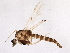  ( - BIOUG06541-H09)  @13 [ ] CreativeCommons - Attribution (2014) CBG Photography Group Centre for Biodiversity Genomics