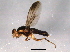  ( - BIOUG03097-D05)  @12 [ ] CreativeCommons - Attribution (2014) CBG Photography Group Centre for Biodiversity Genomics