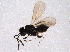  ( - BIOUG03235-G06)  @13 [ ] CreativeCommons - Attribution (2014) CBG Photography Group Centre for Biodiversity Genomics