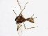  ( - BIOUG03327-H01)  @13 [ ] CreativeCommons - Attribution (2013) CBG Photography Group Centre for Biodiversity Genomics