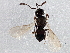  ( - BIOUG03328-E01)  @13 [ ] CreativeCommons - Attribution (2013) CBG Photography Group Centre for Biodiversity Genomics