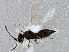  ( - BIOUG03330-B05)  @12 [ ] CreativeCommons - Attribution (2013) CBG Photography Group Centre for Biodiversity Genomics