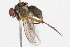  ( - BIOUG03607-A05)  @12 [ ] CreativeCommons - Attribution (2013) CBG Photography Group Centre for Biodiversity Genomics
