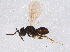  ( - BIOUG03482-H11)  @13 [ ] CreativeCommons - Attribution (2014) CBG Photography Group Centre for Biodiversity Genomics