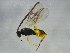  ( - BIOUG03486-E11)  @13 [ ] CreativeCommons - Attribution (2012) CBG Photography Group Centre for Biodiversity Genomics