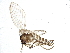  ( - BIOUG04254-B06)  @14 [ ] CreativeCommons - Attribution (2014) CBG Photography Group Centre for Biodiversity Genomics