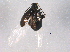  ( - BIOUG03377-G07)  @13 [ ] CreativeCommons - Attribution (2014) CBG Photography Group Centre for Biodiversity Genomics