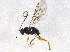  ( - BIOUG04329-E06)  @13 [ ] CreativeCommons - Attribution (2014) CBG Photography Group Centre for Biodiversity Genomics
