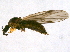  ( - BIOUG04377-B11)  @14 [ ] CreativeCommons - Attribution (2014) CBG Photography Group Centre for Biodiversity Genomics